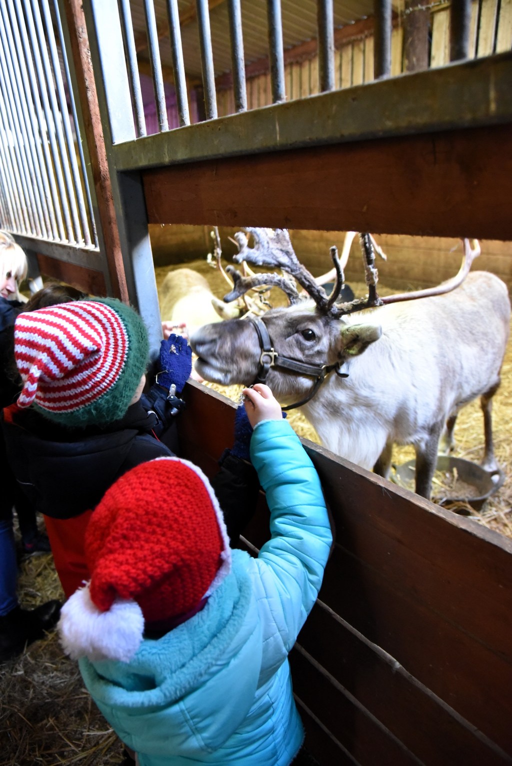 ON DASHER, ON&nbsp;DANCER